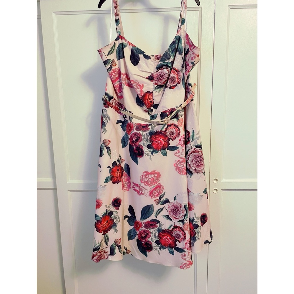 Pink Belted Dress w/ Pink Roses